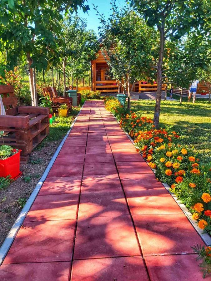 Holiday Bungalows & Food Plav Luaran gambar