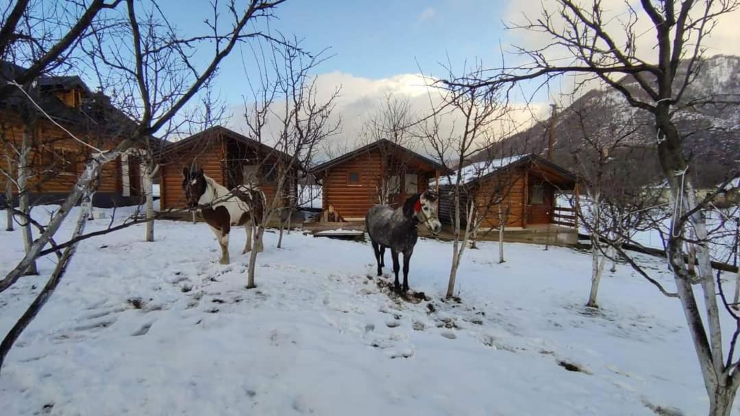 Holiday Bungalows & Food Plav Luaran gambar